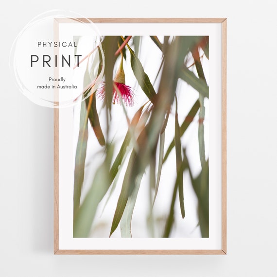 Ikea wall art australia deals