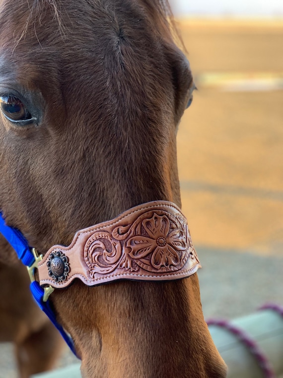 Tooled Leather Horse Noseband / Western Floral Halter / Leather