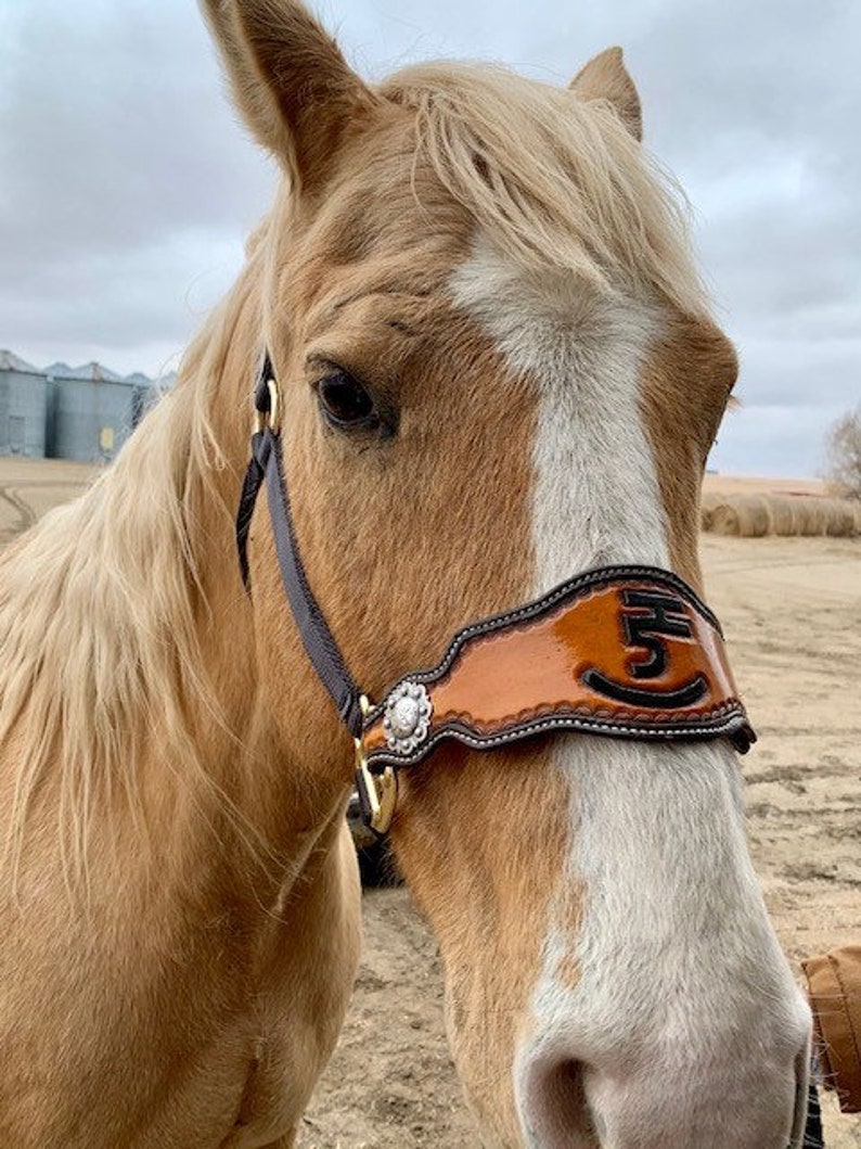 Hand Tooled Leather Horse Noseband/ Western Brand Halter / Personal Brand Design/ Rodeo / Trail Horse image 3