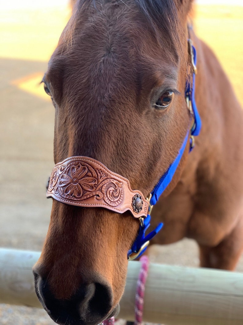 Tooled Leather Horse Noseband / Western Floral Halter / Etsy