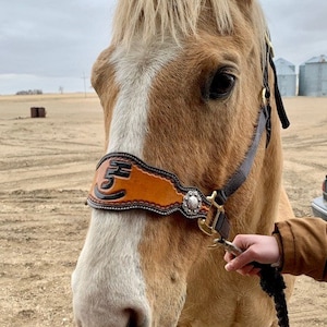 Hand Tooled Leather Horse Noseband/ Western Brand Halter / Personal Brand Design/ Rodeo / Trail Horse image 1