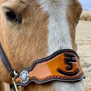 Hand Tooled Leather Horse Noseband/ Western Brand Halter / Personal Brand Design/ Rodeo / Trail Horse image 2