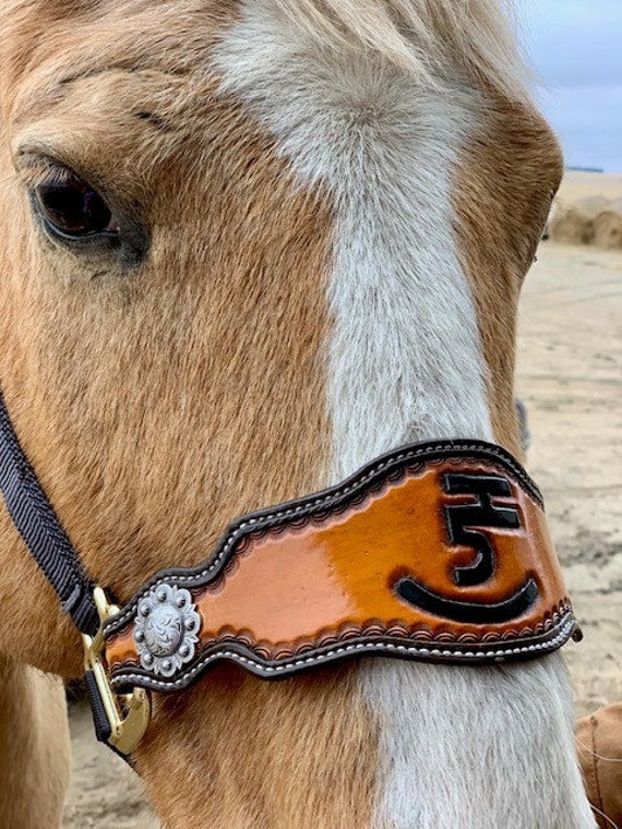 Hand Tooled Leather Horse Noseband/ Western Brand Halter / Personal Brand  Design/ Rodeo / Trail Horse 