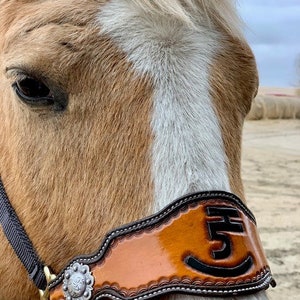 Hand Tooled Leather Horse Noseband/ Western Brand Halter / Personal Brand Design/ Rodeo / Trail Horse image 5