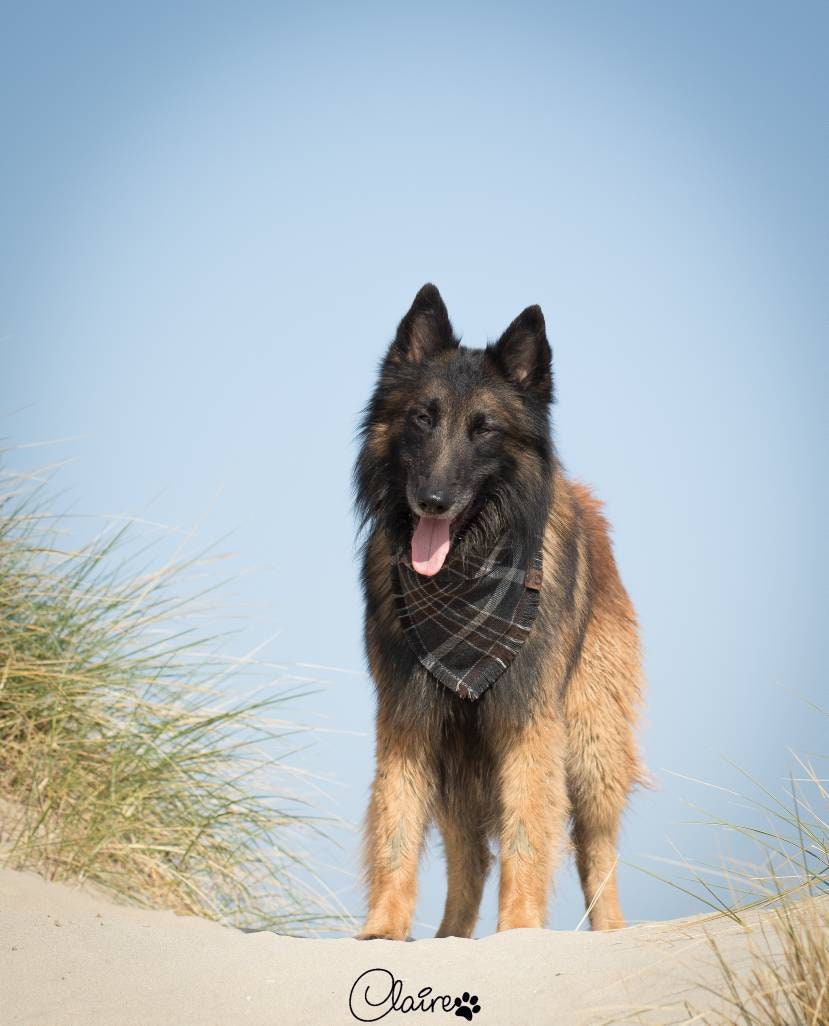 Bandana Notaku Édition Limitée.