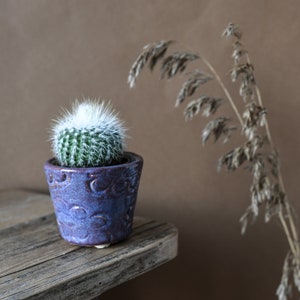 May include: A small cactus plant with white spines in a purple ceramic pot with a textured design. The pot is sitting on a weathered wooden surface. A dried grass stalk is in the background.