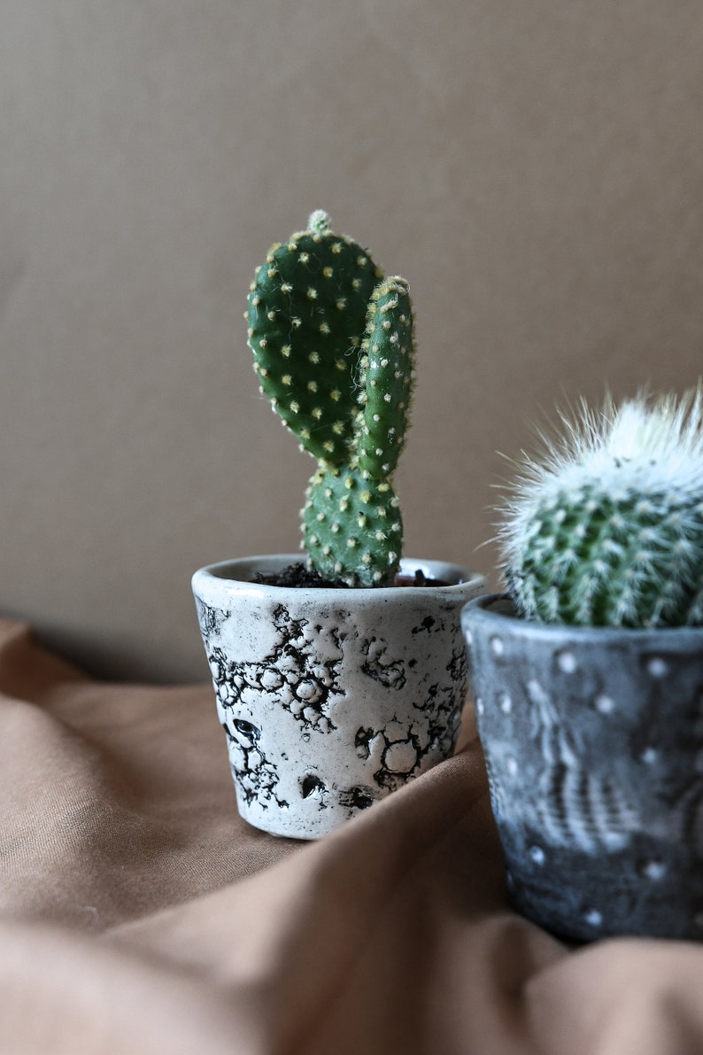 Cactus Plant Pot / Succulent Plant Pot, Small Indoor Planter, Oyster Shell Design, Glazed Stoneware image 3