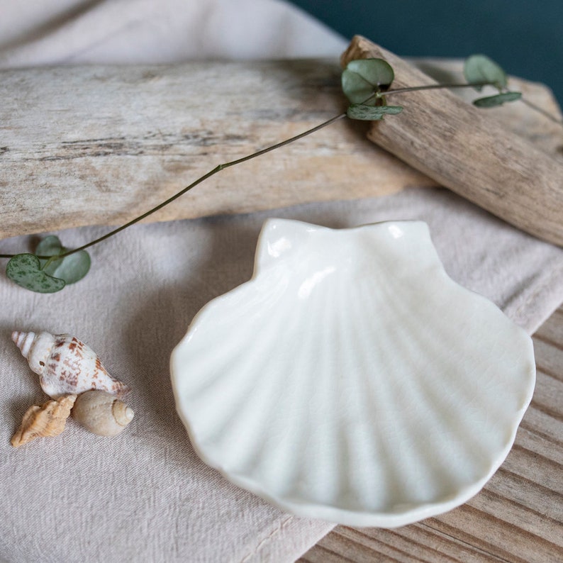 May include: A white ceramic seashell dish with a textured surface. The dish is on a light brown fabric surface with a piece of driftwood and a green plant in the background.