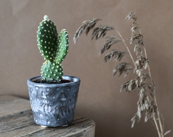 Cactus Plant Pot / Succulent Plant Pot, Small Indoor Planter, Shell Design, Glazed Stoneware
