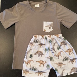 Casual Dinosaur toddler/boy tshirt and shorts set
