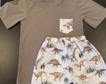 Casual Dinosaur toddler/boy tshirt and shorts set