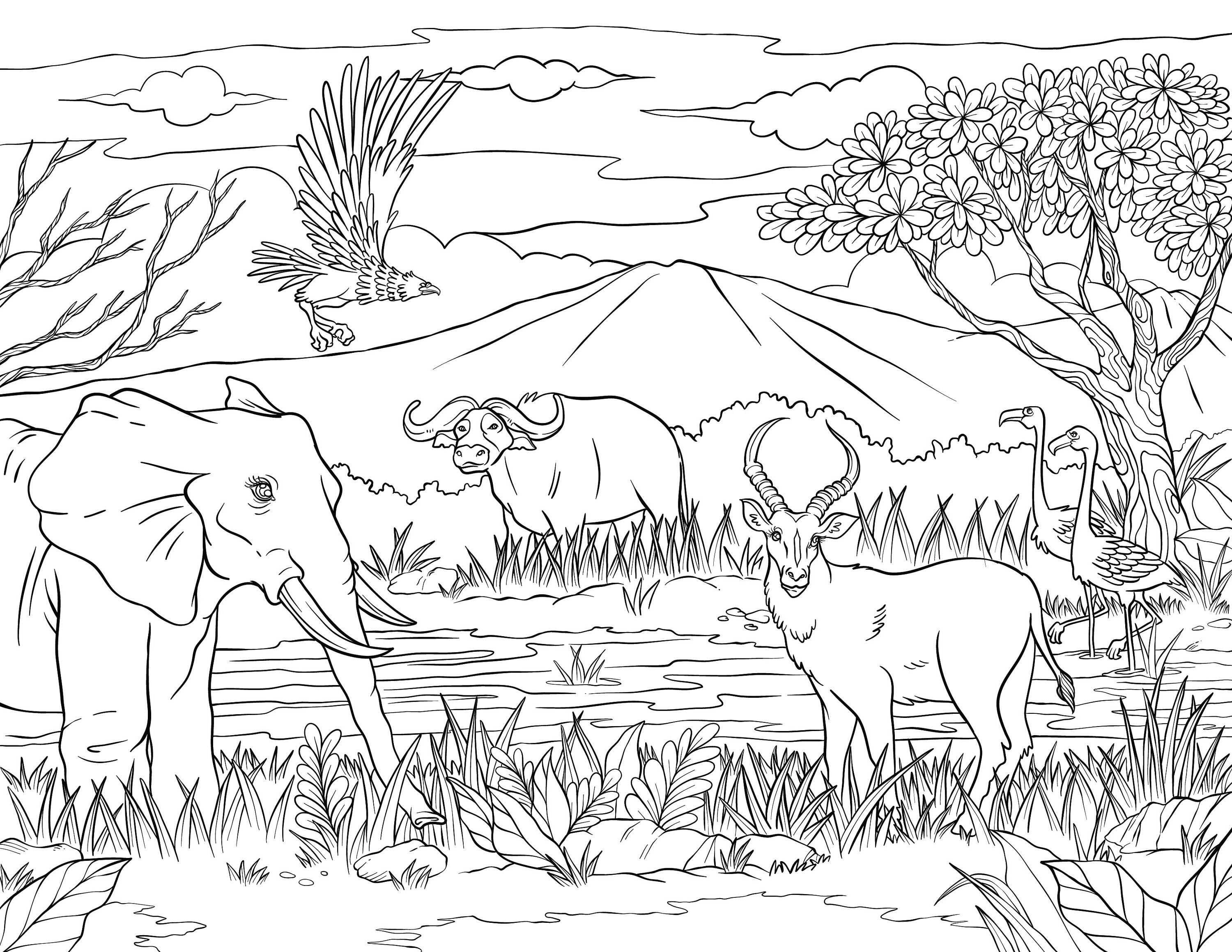 Adult Coloring Book PRINTABLE Hand Drawn Safari Wild Life | Etsy