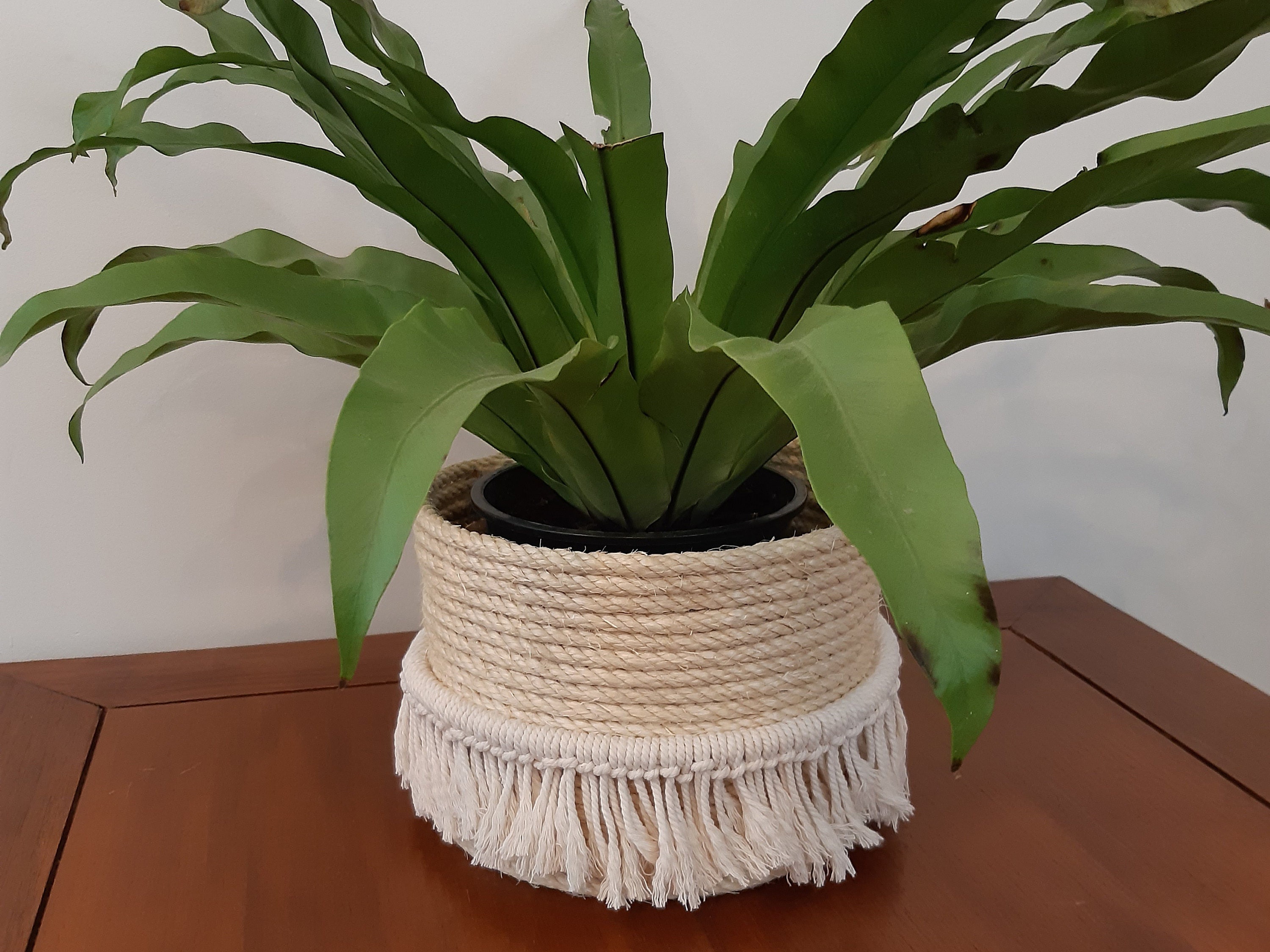 Grand Panier Cache-Pot en Corde de Sisal et Franges Coton