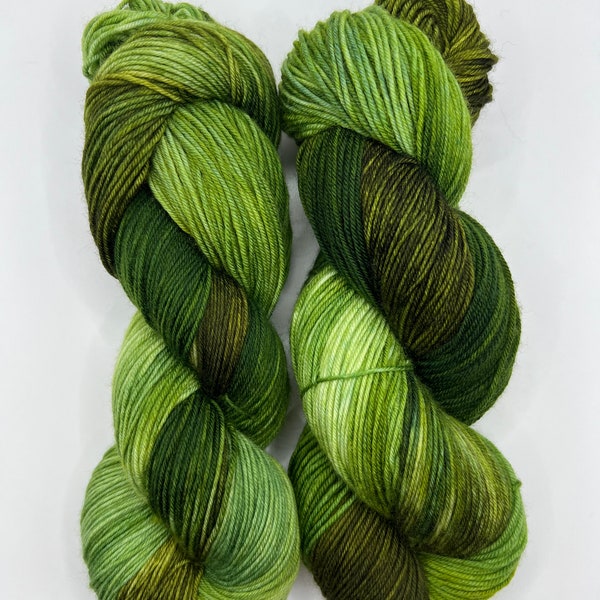 Wild Forest | Superwash Merino Yarn, Fingering, Worsted, Aran, DK, Bulky, Indie Dyed Yarn, Hand Dyed Yarn