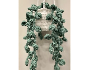 Crochet Hanging Plant