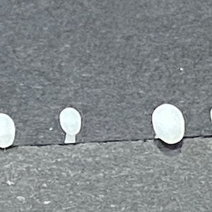 Kit de batatas em escala 1:48 (6) * * Miniatura de casa de bonecas * Escala O / Medidor * Impressão 3D * ShopMiniDecorandMore * Diorama * Trem modelo