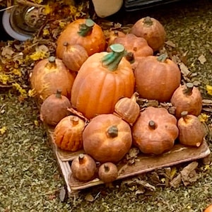 May include: A collection of small, orange pumpkins and gourds arranged on a wooden surface. The pumpkins are various shapes and sizes, with some having a green stem.