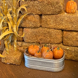 May include: A miniature metal tub filled with small orange pumpkins, sitting in front of a wall made of hay bales.
