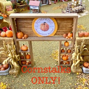 May include: A wooden sign with the text "Pumpkins Grown at Anderson Acres" and a picture of a pumpkin. The sign is decorated with fall-themed pumpkins and corn stalks.