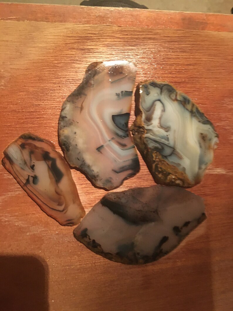 4 Pieces of Madagascar Dendritic Agate Slices