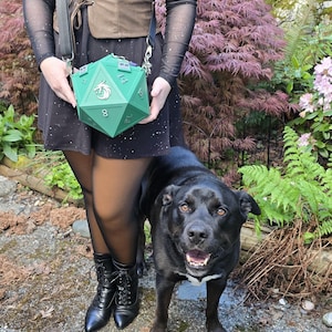 May include: A green, multi-sided dice-shaped crossbody bag with white numbering and a silver chain strap. The bag is held in front of a person wearing a brown corset top and black dress. A black dog stands nearby.