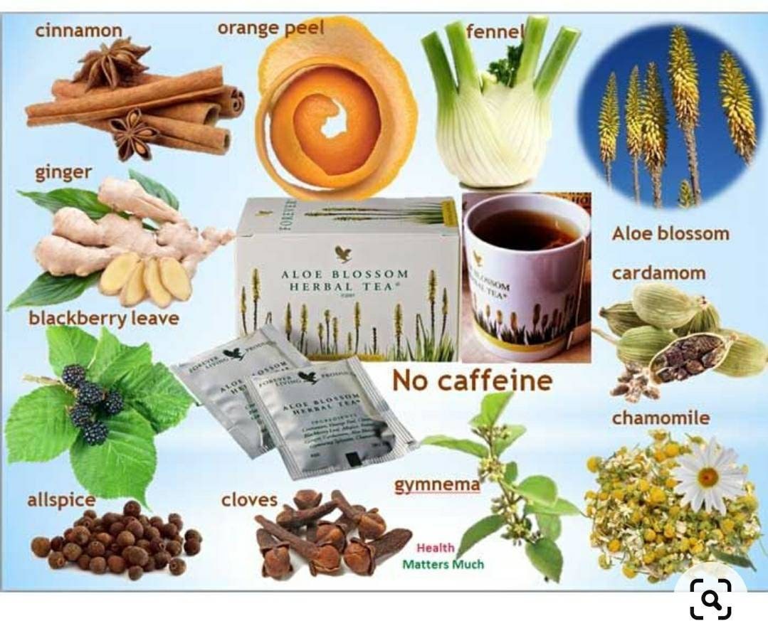 aloe vera pulver 500g Pure Natural Aloe Vera Pulver Echte Aloe Vera Frisch gemahlene Kr –  HelloYoung main image 0