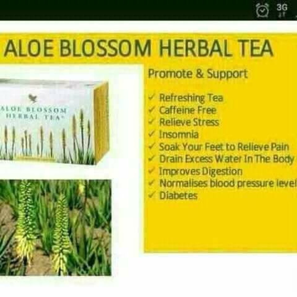Aloe Blossom Herbal Tea Etsy