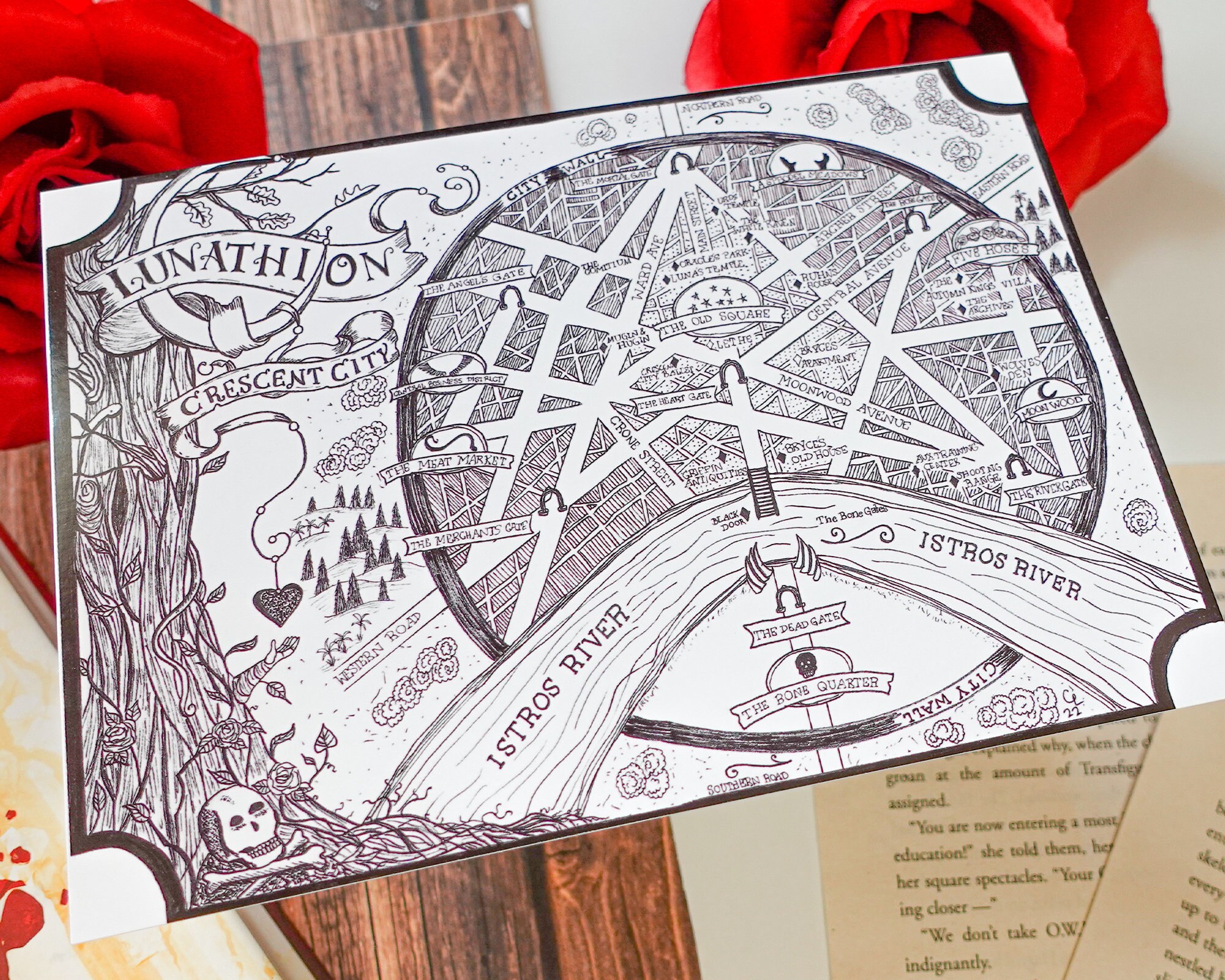 Crescent City Map Print Hand Drawn Art Print Etsy