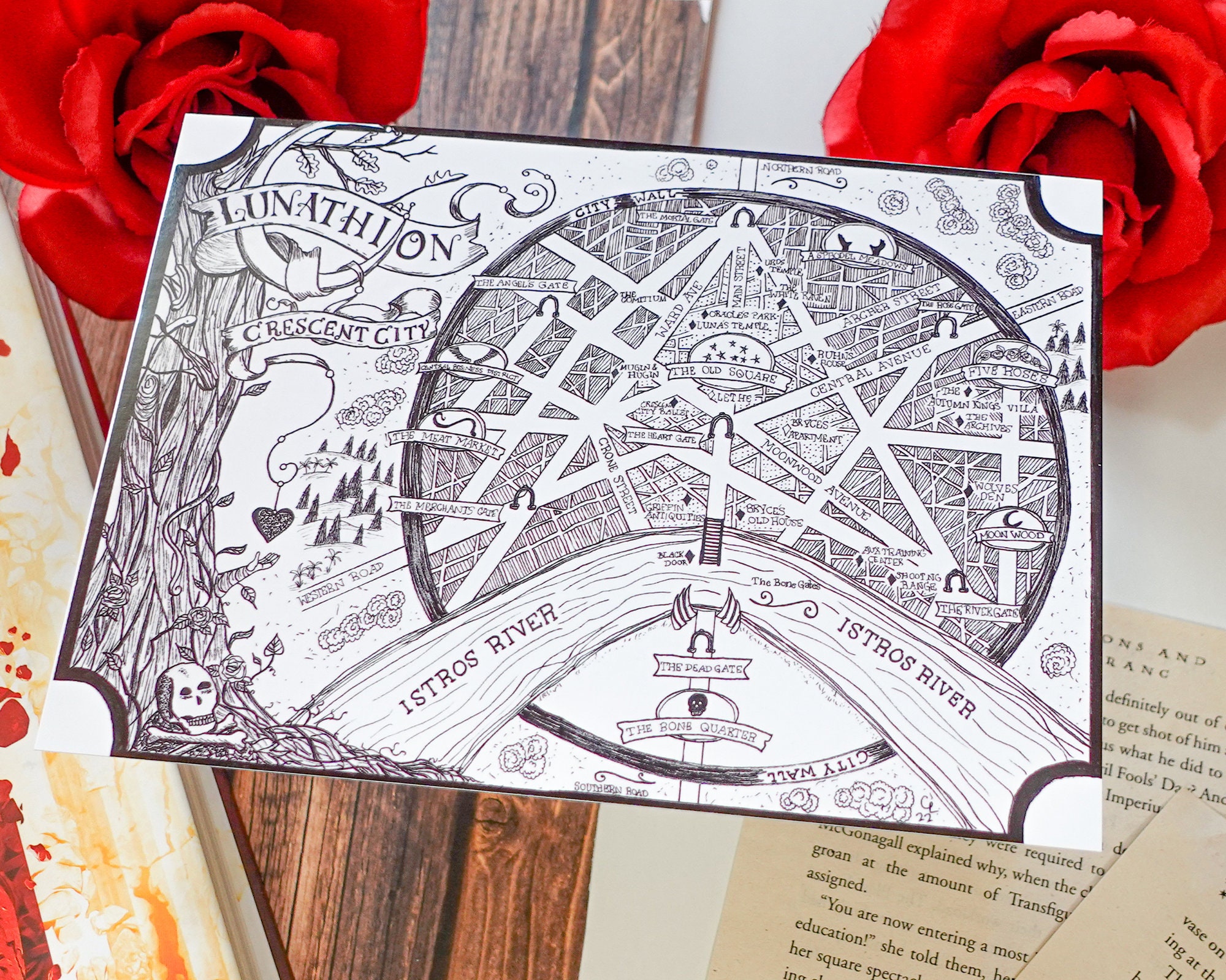 Crescent City Map Print Hand Drawn Art Print - Etsy