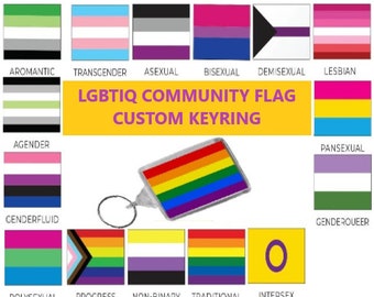 LGBTQ Asexual Bisexual Gay Pride Regenbogen Pansexual Transgender Schlüsselanhänger Schlüsselanhänger