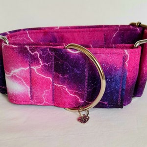 Aurora lightning bolt dog collars colour pink and purple