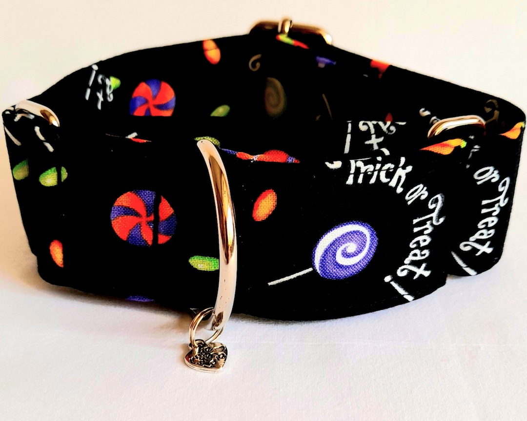 Glow in the Dark Trick or Treat Martingale Dog Collars Etsy