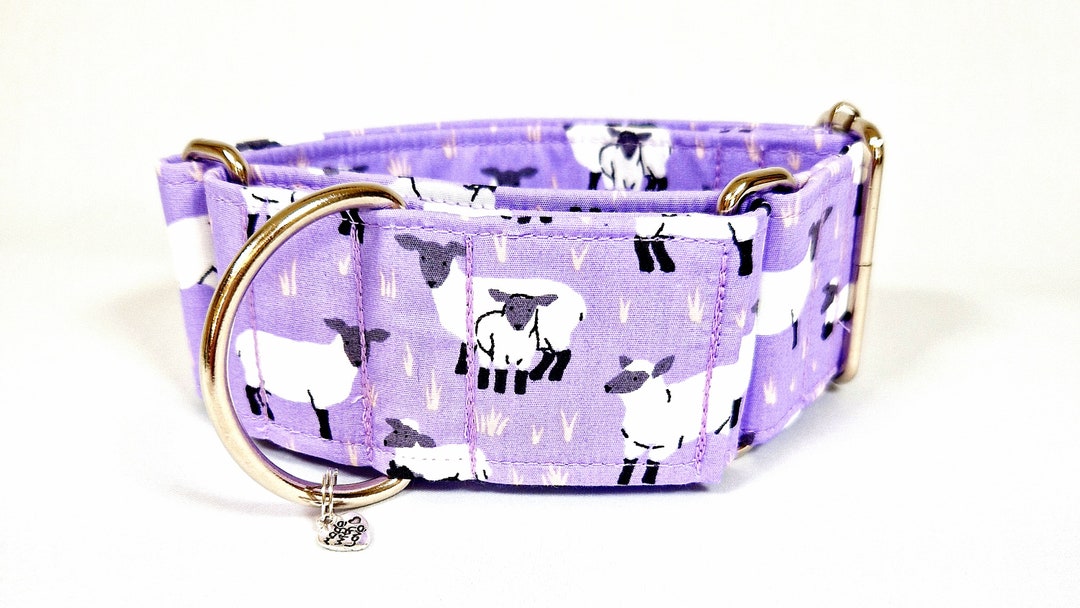 Spring Lambs Dog Collars in Martingale and Standard Styles Plus ...