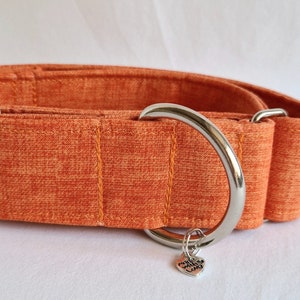 Orange linen textured look martingale dog collars, premium quality, welded silver colour hardware, dog control equipment.Comfortable dogwear