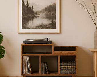 Mueble de alta fidelidad hecho a mano – Mueble de almacenamiento de madera maciza – Biblioteca de vinilos y libros