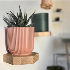 Peut inclure: Une petite plante succulente dans un pot rose côtelé repose sur une étagère hexagonale en bois contre un mur blanc.