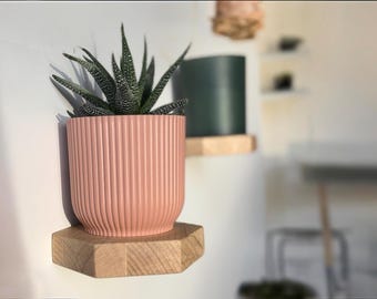 Recycled Solid Wood Floating Shelf, Wall Mounted Plant Stand, Hexagonal Shelf, Handmade