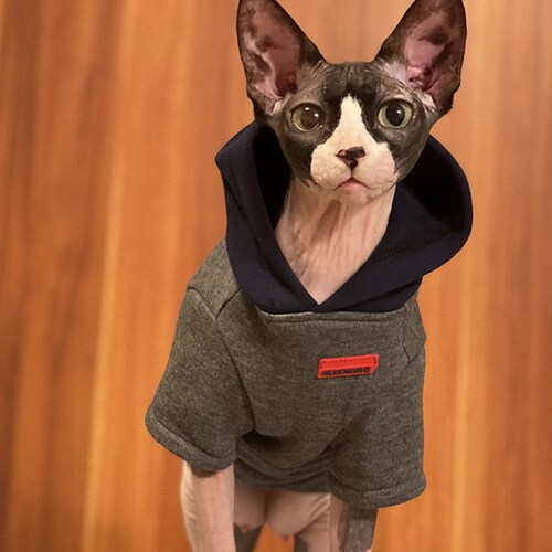 Pet Clothing, Accessories \u0026 Shoes Pet 