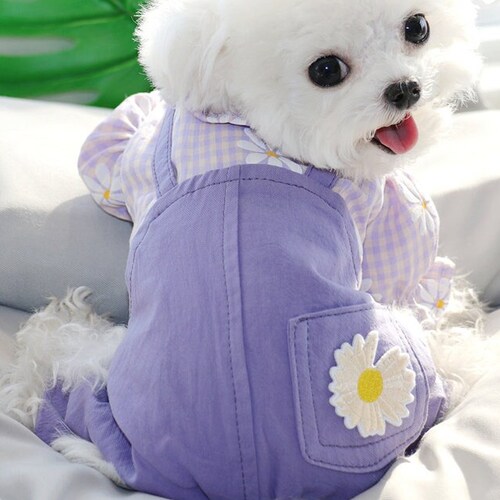 four legged dog sweater