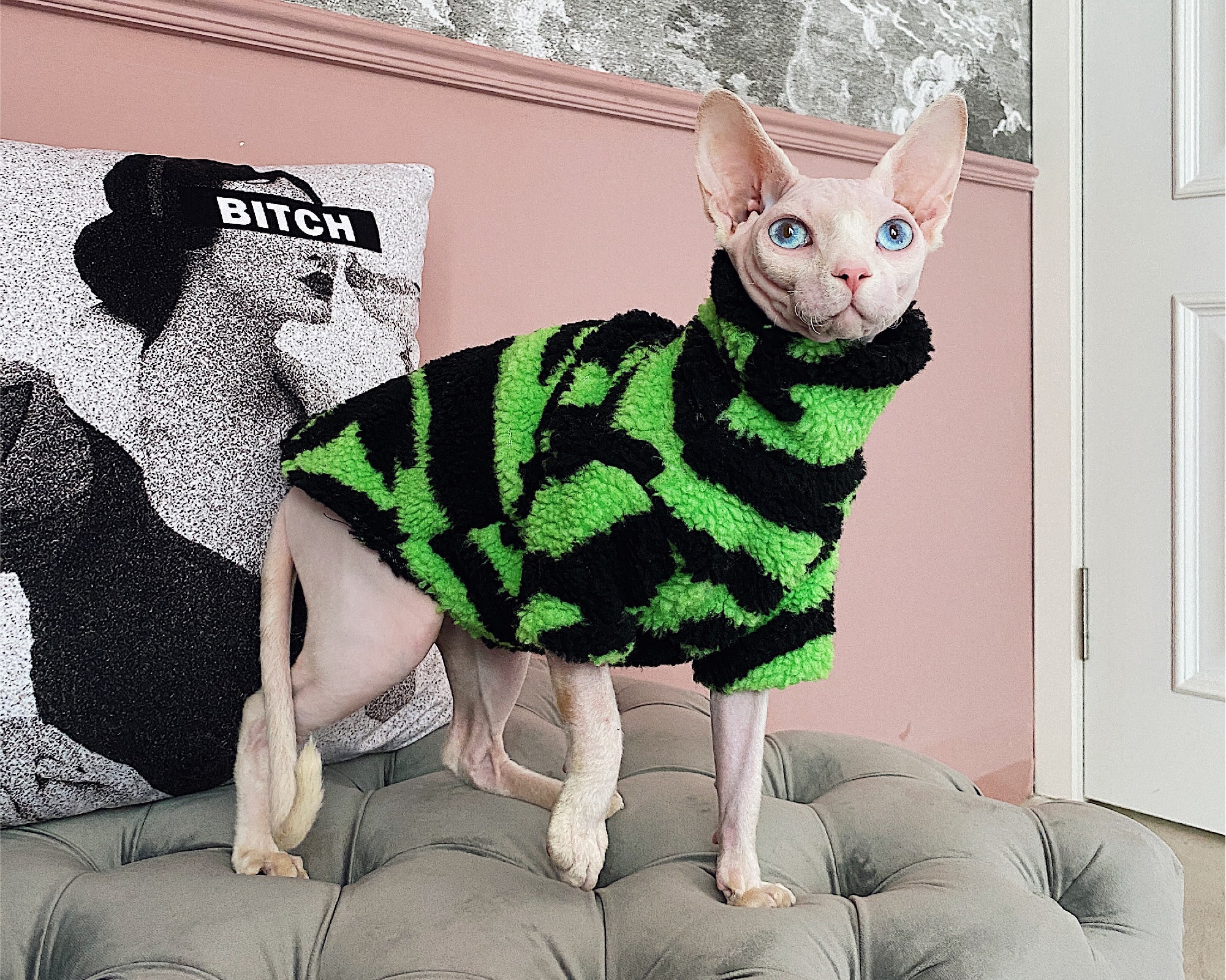 Sphynx Cat Winter Coat Warm and Comfortable Cat Clothes Jacket Etsy