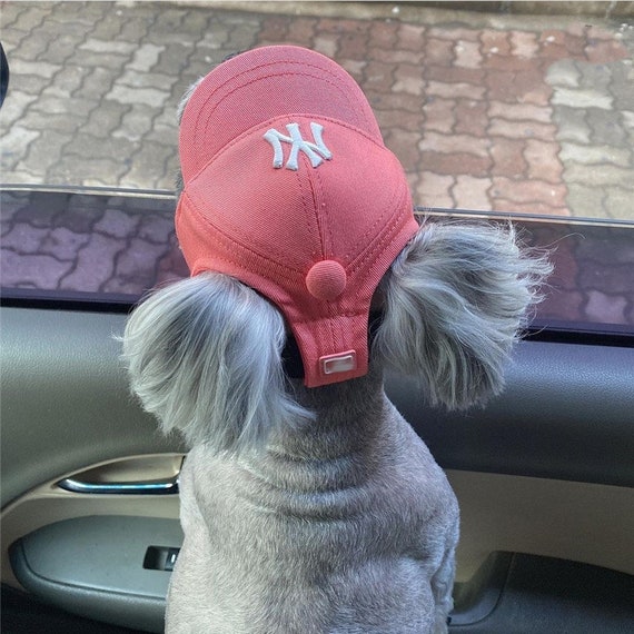 Dog Baseball Cap Dog Hat Dog Baseball Cap Trucker Cap for Etsy
