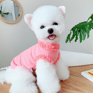 Fluorescent Ruffle Lace Dog Sweaters for Small Dogs and Cats 21061701