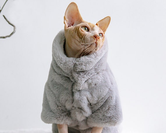 Sphynx Cat Winter Coat Warm And Comfortable Clothes Jacket India Sphynx Cat Winter Coat Warm And, Sphynx Cat Winter Coat