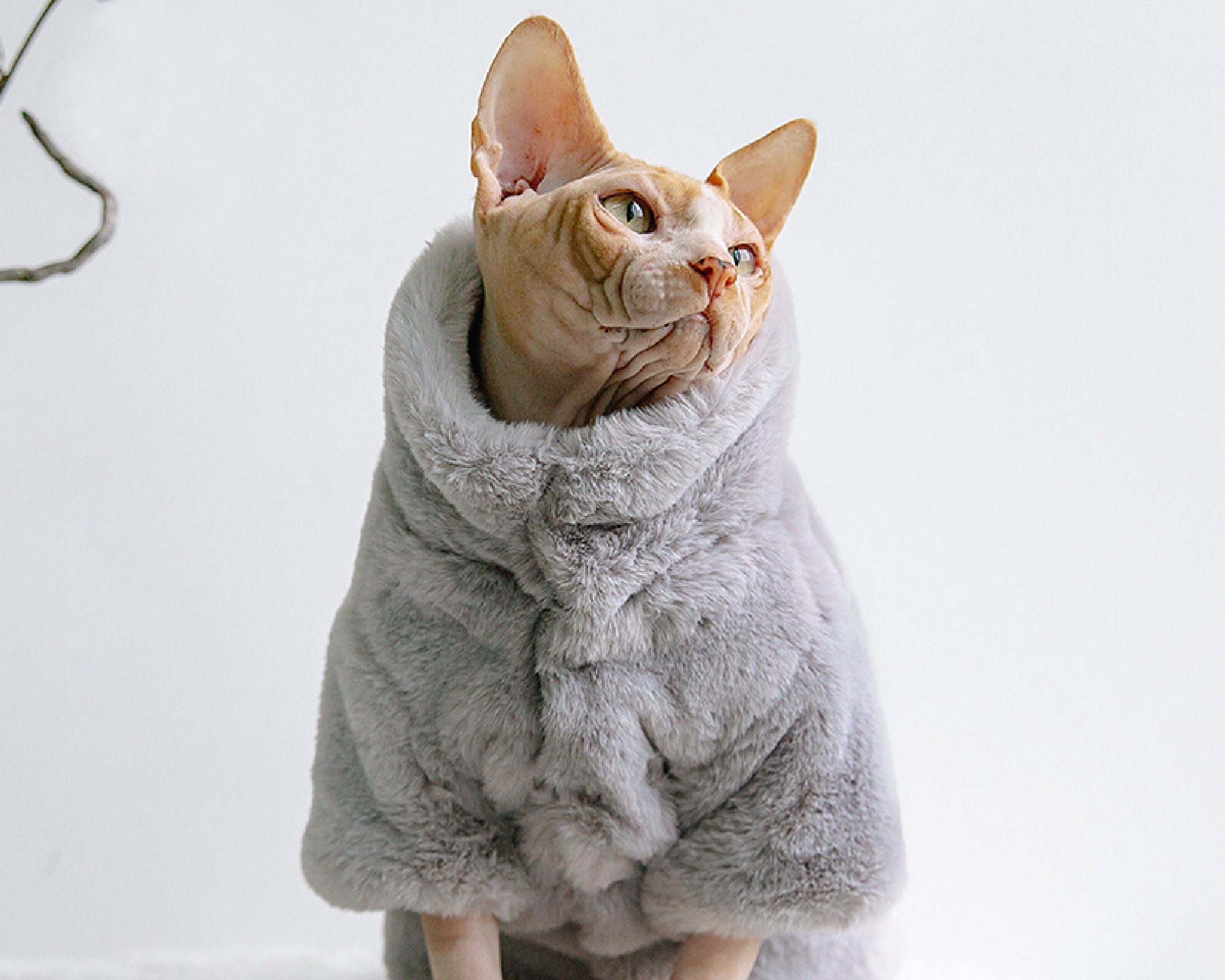 Sphynx Cat Winter Coat Warm and Comfortable Cat Clothes Jacket Etsy