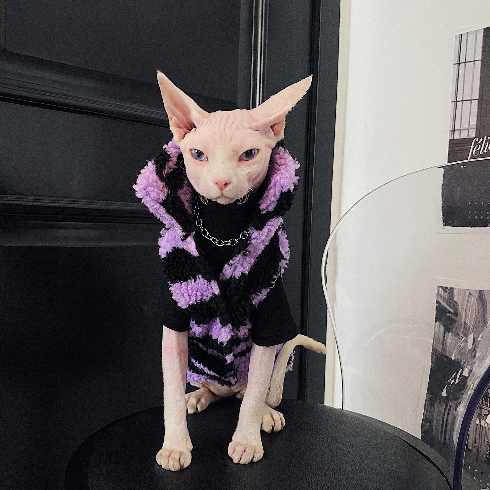 Sphynx Cat Winter Coat Warm and Comfortable Cat Clothes Jacket | Etsy