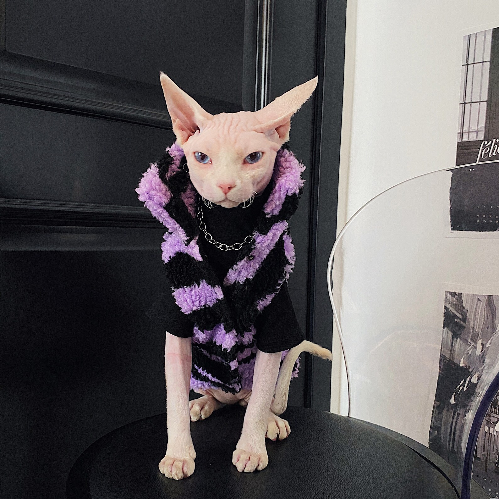 Sphynx Cat Winter Coat Warm and Comfortable Cat Clothes Jacket Etsy
