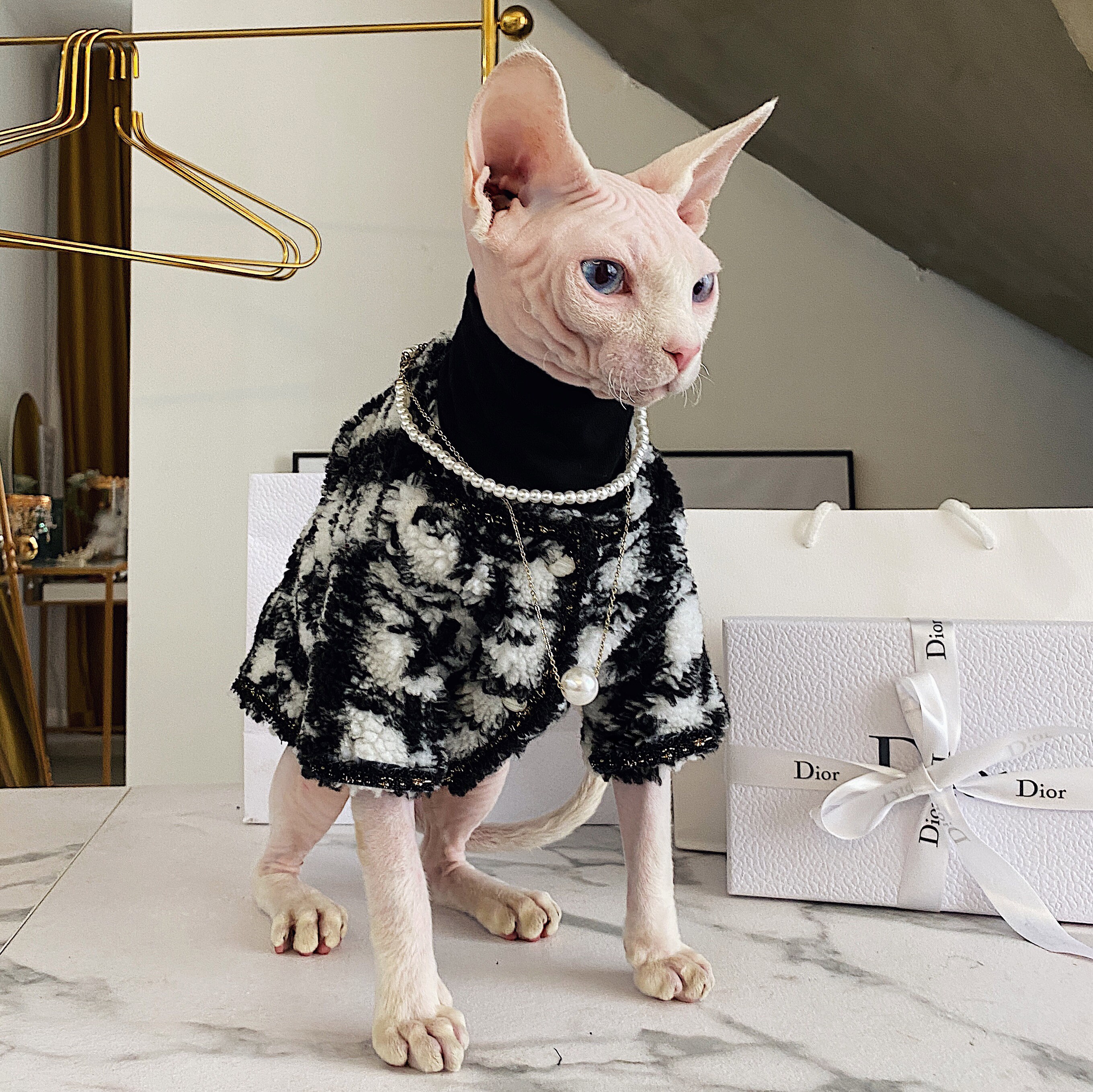 Sphynx Cat Winter Kleding Chic Modieuze Kat Kleding Turtle Etsy