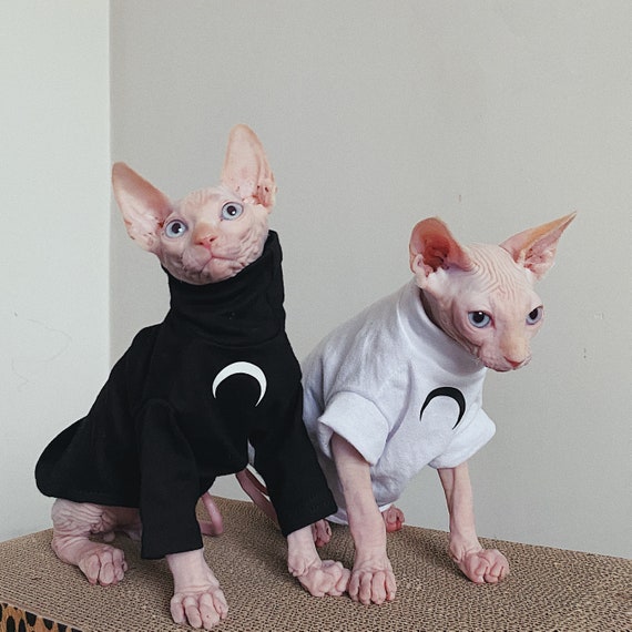 Sphynx Cat ropa Cat Tops Tortuga cuello manga larga Tops Cat | Etsy México