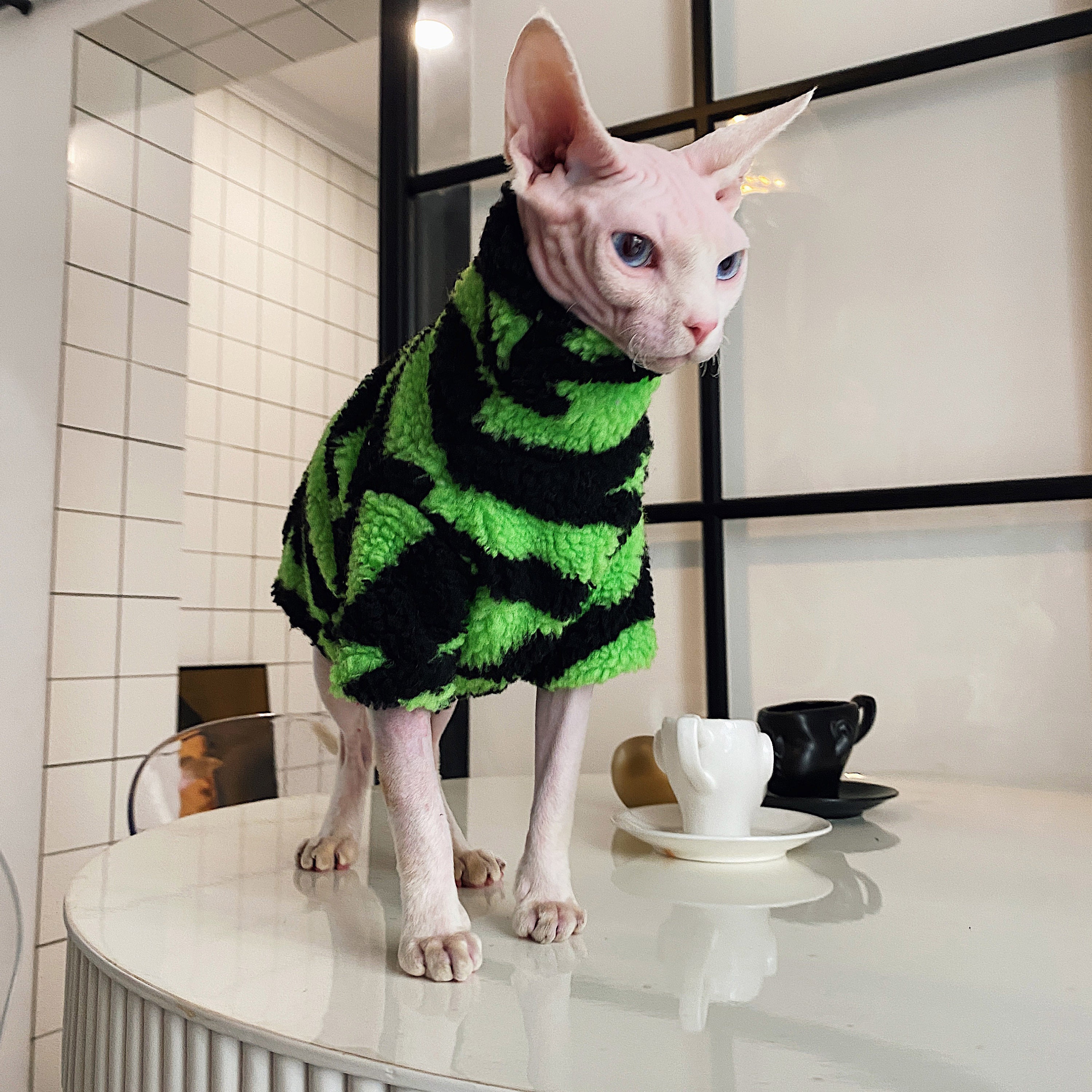 Sphynx Cat Winter Coat Warm and Comfortable Cat Clothes Jacket Etsy