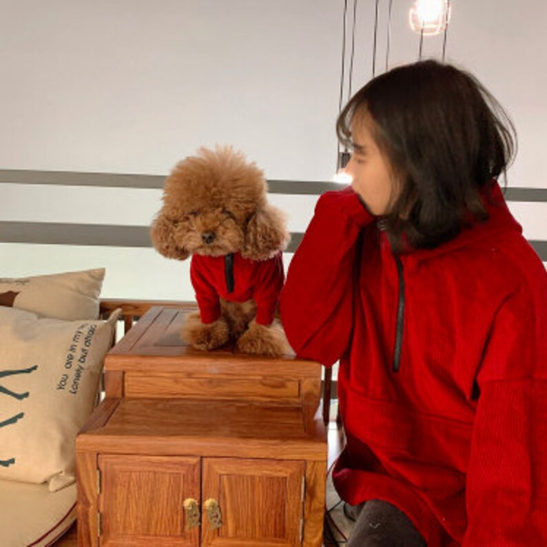 Matching Hoodie for Dog and Owner Dog Owner Matching Outfits Etsy